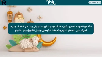 غدًا هو الموعد الأخير لشراء الأضحية والخروف البرقي يبدأ من 6 آلاف جنيه، تعرف على أسعار الذبح وخدمات التوصيل وأبرز الفروق بين الأنواع